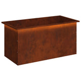 Garden Planter with LED Rusty 50 x 100 x 48 cm Weathering Steel - Front View