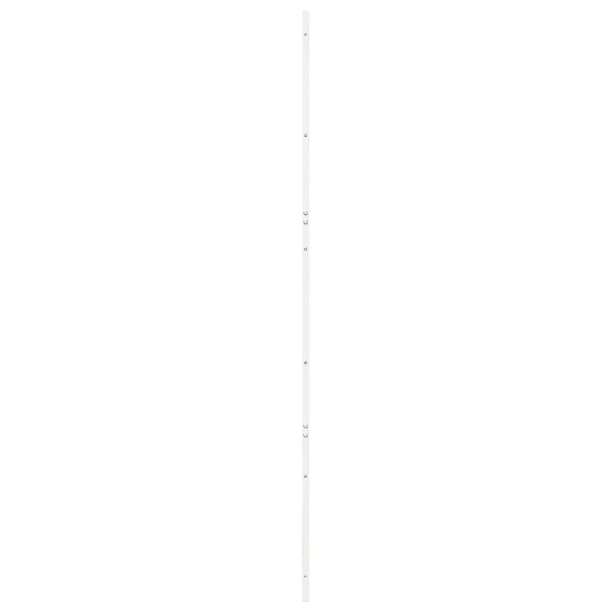Barn Door 100 x 2,5 x 208 cm Solid Pine Wood White