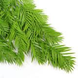 Hanging Fresh Green Bamboo Leaf Fern UV Resistant 80cm - 45-Degree Angle