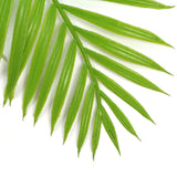 Hanging Fresh Green Bamboo Leaf Fern UV Resistant 80cm - Rear View
