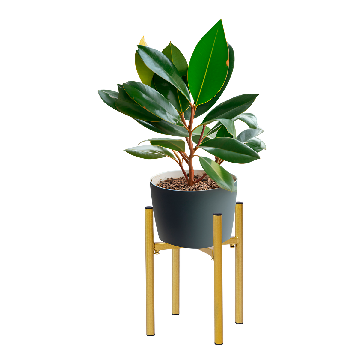Metal Plant Stand Adjustable Indoor