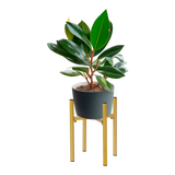 Metal Plant Stand Adjustable Indoor - Extra Image