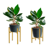 Metal Plant Stand Adjustable Indoor - Close-Up Angle