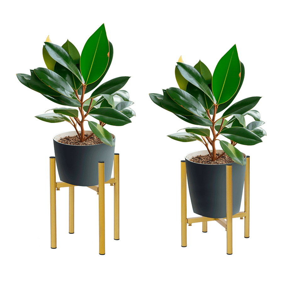 Metal Plant Stand Adjustable Indoor