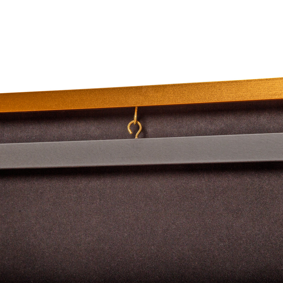 Wall Display/Case Lockable Rack 80cm Football Basketball Jersey Storage Box in Gold