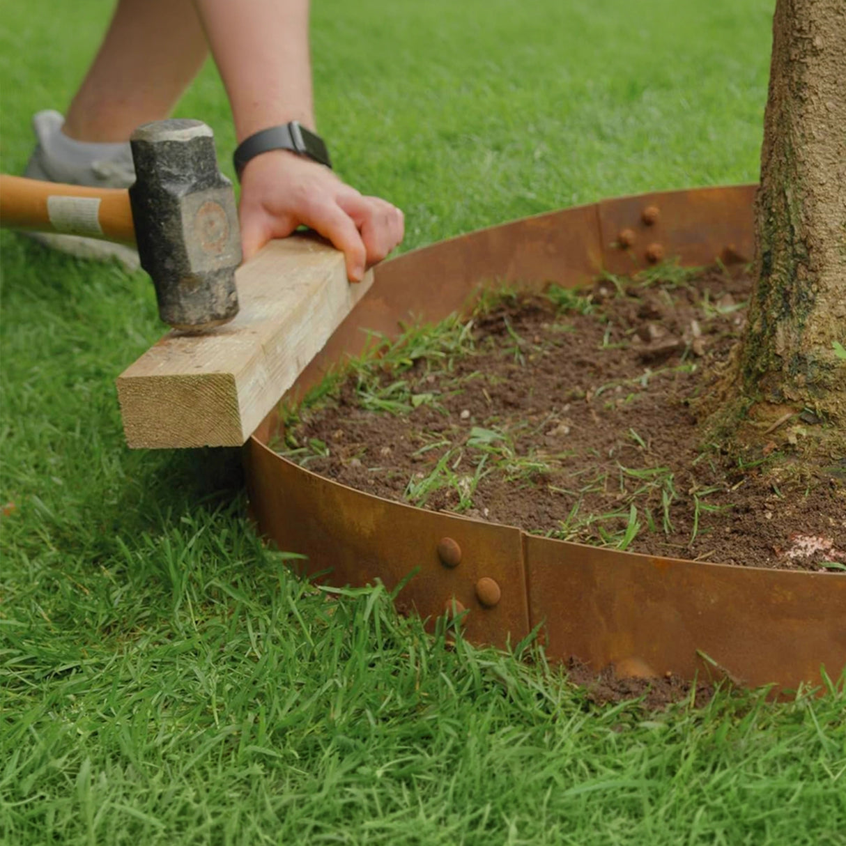 60cm Steel Garden Tree Ring with Spikes &ndash; Heavy-Duty Root Barrier & Edging