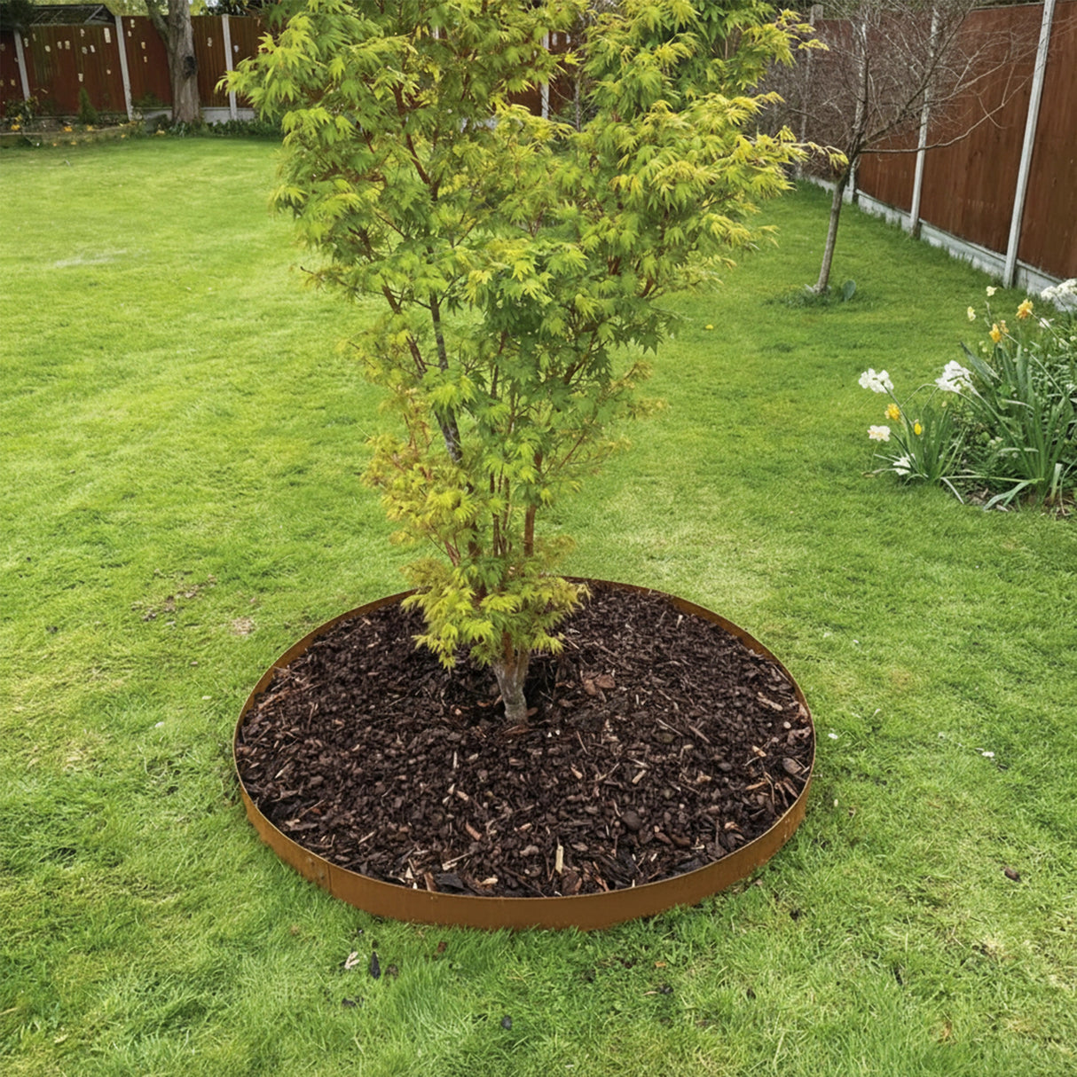 60cm Steel Garden Tree Ring with Spikes &ndash; Heavy-Duty Root Barrier & Edging