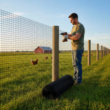 30m Black Chicken Wire Mesh Roll &ndash; Heavy Duty Aviary Netting & Garden Fencing for Poultry Enclosures