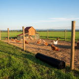 30m Black Chicken Wire Mesh Roll &ndash; Heavy Duty Aviary Netting & Garden Fencing for Poultry Enclosures - Low Angle
