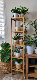5 Tier Bookshelf Storage Bookcase Shelving Unit for Home Office - Top-Down View