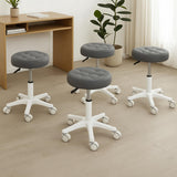 Levede 4x Rolling Bar Stool Swivel Salon SPA Chair Grey-2018816873524760583