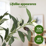 Artiss 180cm Artificial Olive Tree Faux Trees Indoor Decor Artificial Plants Lifelike Plant 1.8M - Rear View