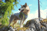 True Love Cooling Vest - Yellow, 2XS - Side View