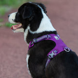 True Love Lightweight Reflective Harness - Purple, L - 45-Degree Angle