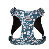 True Love Floral Doggy Harness - Blue, XL - Front View