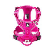 True Love No Pull Explosion Proof Dog Harness - Pink, S - Rear View