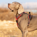 True Love No Pull Explosion Proof Dog Harness - Red, XS - Rear View