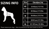True Love No Pull Explosion Proof Dog Harness - Black, S - Top-Down View