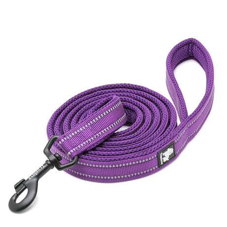 True Love Reflective Pet Leash 2m - Purple, S-1962324902300225536