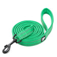 True Love Reflective Pet Leash 2m - Green, M-1962324901125820417
