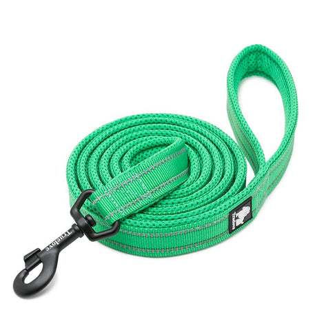 True Love Reflective Pet Leash 2m - Green, M-1962324901125820417