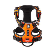 True Love No Pull Explosion Proof Dog Harness - Orange, S - Rear View