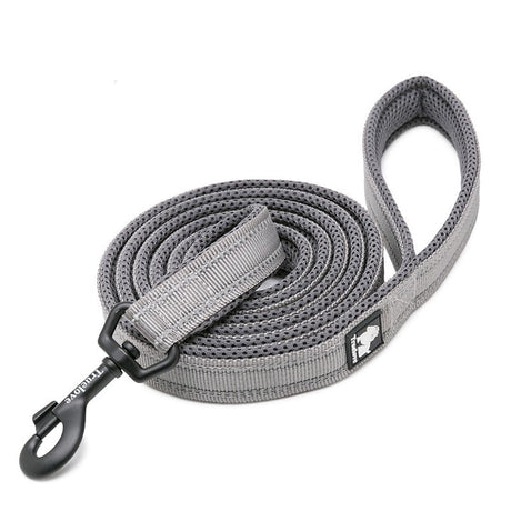 True Love Reflective Pet Leash 2m - Grey, XS-1962324900152741888