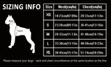 Dog Harness with Steel D Ring - Orange, L