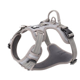 True Love No Pull Explosion Proof Dog Harness - Grey, XL - Front View