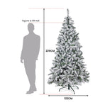Christabelle 229cm Christmas Tree - Snowy Emperor