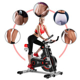 Powertrain IS-500 Heavy-Duty Exercise Spin Bike Electroplated - Silver