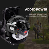 MTM 65CC Petrol Backpack Leaf Blower - Commercial 2 Stroke Garden Yard Tool Back - Top-Down View