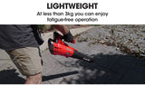 Baumr-AG 20V Lithium Cordless Leaf Blower Electric Hand-held Garden Tool - Top-Down View