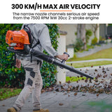 MTM 30CC Backpack Petrol Leaf Blower 2 Stroke Commercial Garden Yard Outdoor - Front View