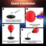 Everfit Desktop Punching Boxing Bag Stand Set with Pump Swivel Speed Balls - Rear View