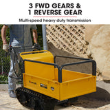 Baumr-AG Motorised Tracked Wheelbarrow Dumper, Briggs & Stratton CR950 Petrol Engine, 300kg Capacity - Low Angle