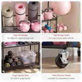 Everfit Yoga Mat Ball Storage Cart Multifunction Equipment Organizer Rack 145cm - 45-Degree Angle