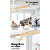 Devanti 52'' Ceiling Fan DC Motor LED Light Remote - Light Wood - Rear View