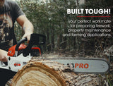 BAUMR-AG Commercial Petrol Chainsaw E-Start 22' Bar Chain Saw Tree Pruning Top Handle