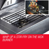 EuroGrille 5 Burner BBQ Outdoor Barbeque Grill Gas Stainless Steel Kitchen