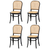 Oikiture 4PCS Dining Chairs Wooden Chairs Rattan Black