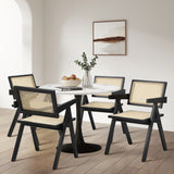 Oikiture 2x Dining Chairs Rattan Chair Wooden Balck - 45-Degree Angle