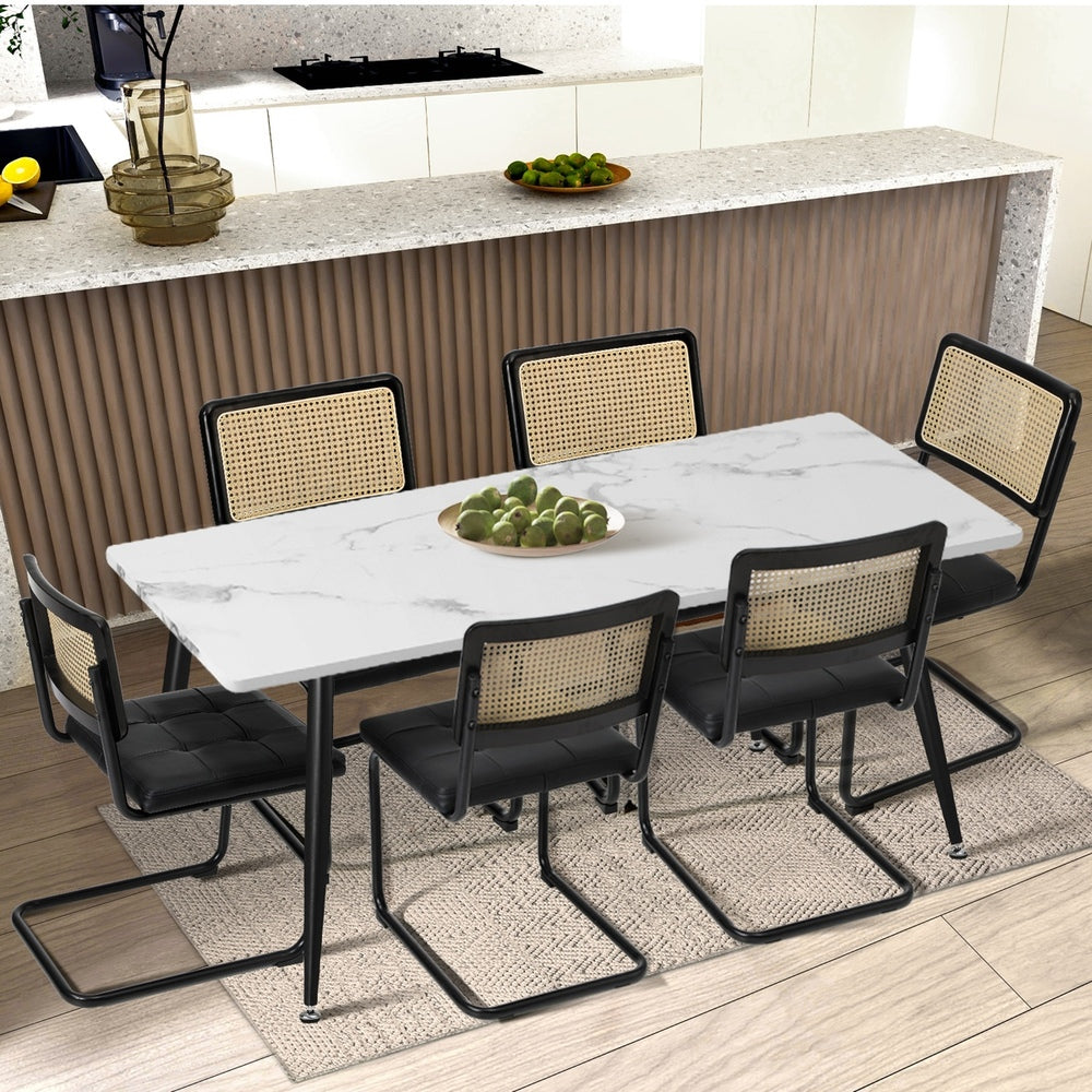 Oikiture 2x Rattan Dining Chair Cesca Replica Cantilever PU Leather