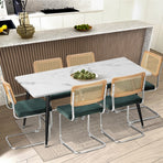 Oikiture 2x Rattan Dining Chair Cesca Replica Cantilever Velvet
