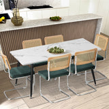 Oikiture 4x Rattan Dining Chair Cesca Replica Cantilever Velvet - Front View