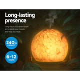 Devanti 4-in-1 Glass Aroma Diffuser with Night Light and Ultrasonic Technology - 240ml - Rear View