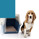 2pcs Waterproof Washable Training Pee Pads -l - 45-Degree Angle