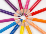 Yplus Erasable Color Pencil with Eraser - Front View