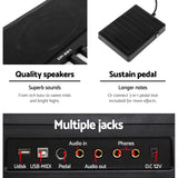 Alpha 88 Keys Electronic Piano Keyboard Digital Electric w/ Stand Sustain Pedal - Rear View