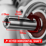 BAUMR-AG 6.5HP Petrol Engine Stationary Motor OHV Horizontal Shaft Electric Start Recoil